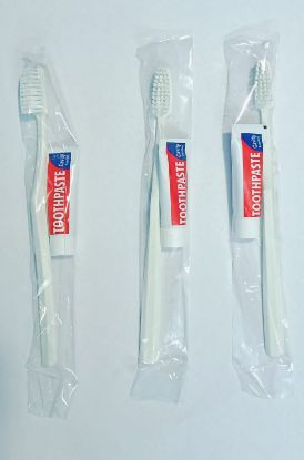 Picture of Dental kit with paste.