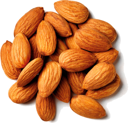 Picture of Almond