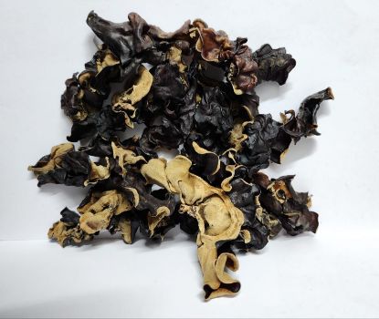 Picture of Black Fungus.