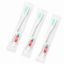 Picture of Dental kit with paste.